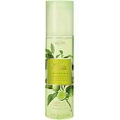4711 Acqua Colonia - Lime & Nutmeg - Body Spray