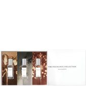 All Saints - Metal Wave - Coffret cadeau