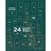 ANNEMARIE BÖRLIND - LL REGENERATION - Advent Calendar