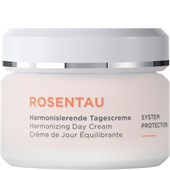 ANNEMARIE BÖRLIND - ROSENTAU - Harmonising day cream