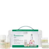 ANNEMARIE BÖRLIND - SETS & AKTIONEN - LL Regeneration Kennenlern-Set