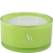 Absolument absinthe - Absolument Absinthe - Bougie
