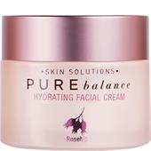 Absolute New York - Gesichtspflege - Pure Balance Hydrating Facial Cream