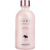 Absolute New York - Gesichtspflege - Pure Balance Hydrating Facial Toner