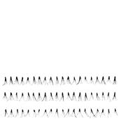 Absolute New York - Řasy - Fabulashes Knot Free Classic Flare AEL 55