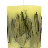 Acqua di Parma - Candles - Oolong Tea Leaves Fruit & Flower Candle
