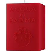 Acqua di Parma - Candles - Red Spicy Cube Candle