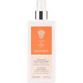 Acqua di Stresa - Dianthus - Body Lotion