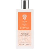 Acqua di Stresa - Dianthus - Shower Bath