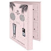 Alessandro - Xmas - Advent Calendar