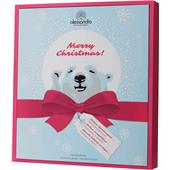 Alessandro - Xmas - Adventskalender Ice Bear