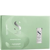 Alfaparf - Skin care - Scalp Renew Energizing Lotion