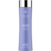Alterna - Bond Repair - Restructuring Bond Repair Conditioner