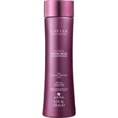 Alterna - Infinite Color Hold - Revitalisant