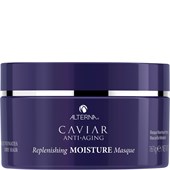 Alterna - Moisture - Replenishing Moisture Masque