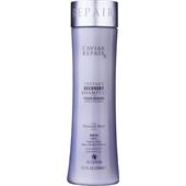 Alterna - Repair - Instant Recovery Shampoo