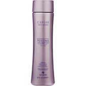Alterna - Volume - Bodybuilding Volume Shampoo