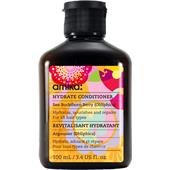 Amika - Pflege - Hydrate Conditioner