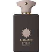 Amouage - The Library Collection - Opus XIII Silver Oud Eau de Parfum Spray