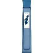 Annayake - Hokou for Him - Eau de Toilette Spray