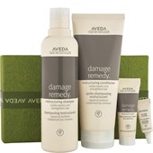 Aveda - Shampoo - A Gift of Stronger Hair