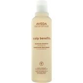 Aveda - Shampoo - Korzyści dla skóry głowy Balancing Shampoo
