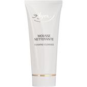 Ayer - Specific Products - Foaming Cleanser