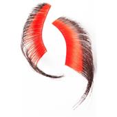 Beauty Is Life - Accessories - Show Eyelashes