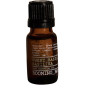 BOOMING BOB - Essential oils - Basil Essential Oil