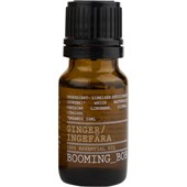 BOOMING BOB - Éterické oleje - Ginger Essential Oil