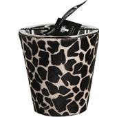 Baobab - Limited Jungle Safari - Duftkerze Giraffina