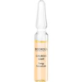 Biodroga - Effect Care - Luxurious Grape Energy Concentrate