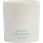 Björk & Berries - Home - Scented Candle