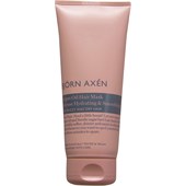 Björn Axén - Maskeren - Argan Oil Hair Mask