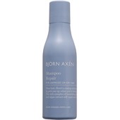 Björn Axén - Shampoo - Repair Shampoo