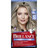 Brillance - Coloration - 816 Kühles Aschblond 2-In-1 Aufheller & Farbe