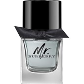 Burberry - Mr. Burberry - Eau de Toilette Spray