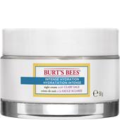 Burt's Bees - Kasvot - Intense Hydration Night Cream
