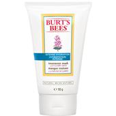 Burt's Bees - Gesicht - Intense Hydration Treatment Mask