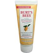 Burt's Bees - Vartalo - Body Lotion
