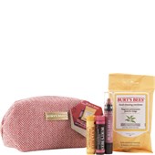 Burt's Bees - Lips - Burt's Beauty Basics Set