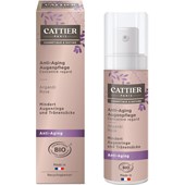 Cattier - Gesichtspflege - Argan & Rose Anti-Aging Augenpflege Éclat de Rose
