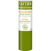 Cattier - Péče o obličej -  Olive & Mango Lip care