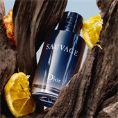 DIOR - Sauvage - Eau de Toilette Spray