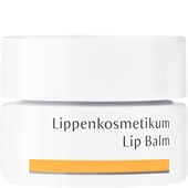 Dr. Hauschka - Gesichtspflege - Lippenkosmetikum