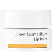 Dr. Hauschka - Gezichtsverzorging - Lip Balm
