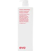 EVO - Care - Protein Treatment