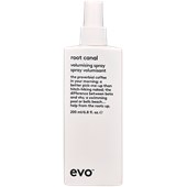 EVO - Pflege - Volumising Spray