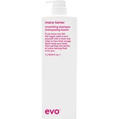 EVO - Champú - Smoothing Shampoo