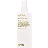EVO - Styling - Salt Spray